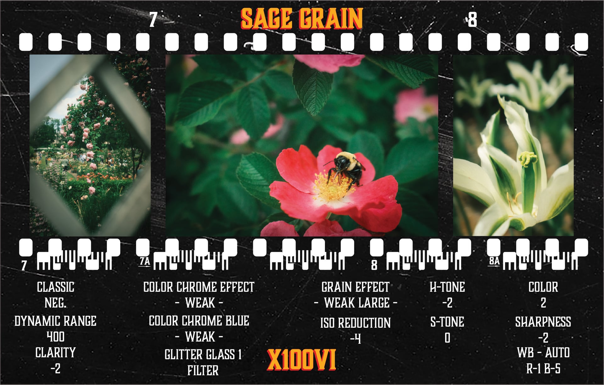 Sage Grain